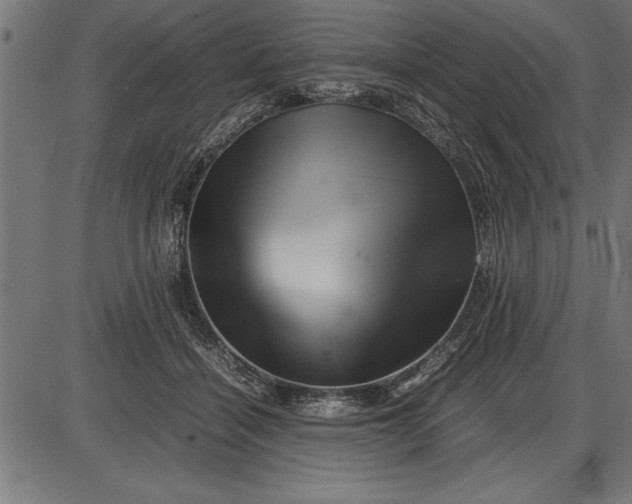 X0000086090460200704091331