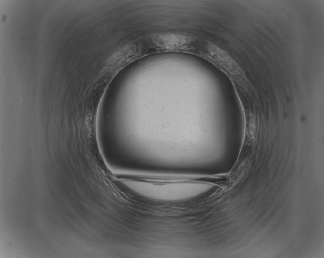 X0000086090461200704091331