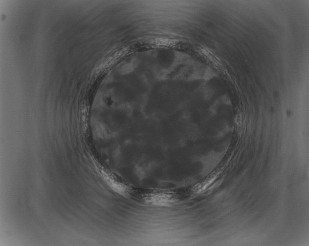 X0000086090462200704091331