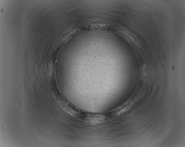 X0000086090463200704091331