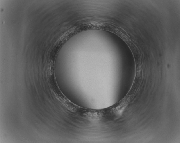 X0000086090464200704091331