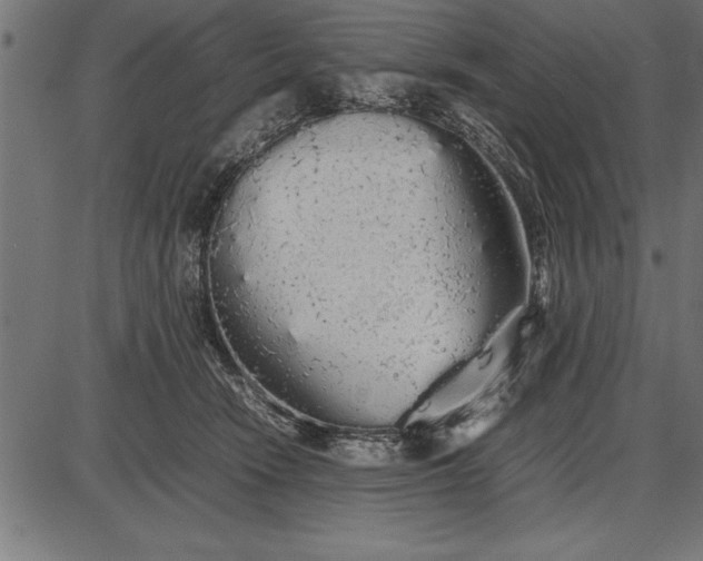 X0000086090466200704091331