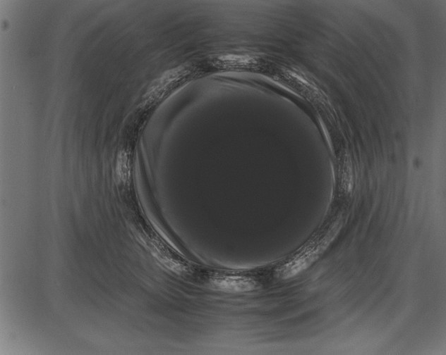 X0000086090467200704091331