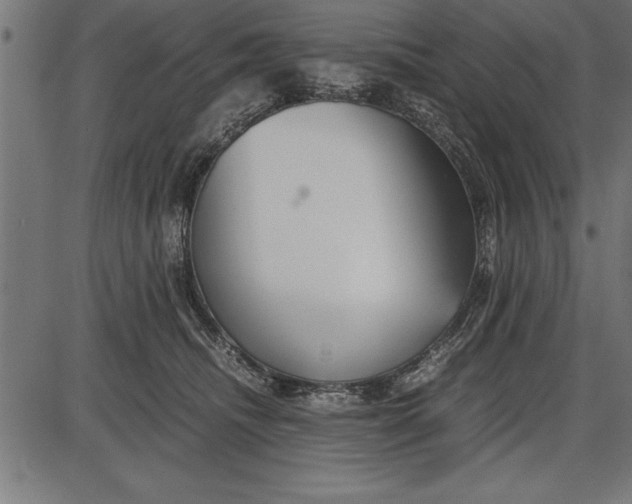 X0000086090468200704091331