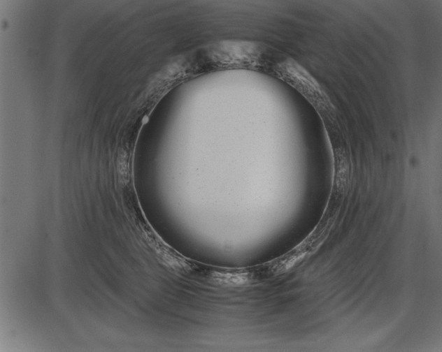 X0000086090469200704091331