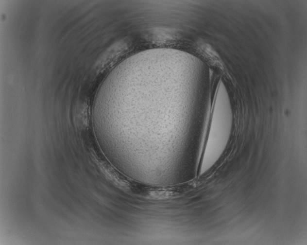 X0000086090470200704091331