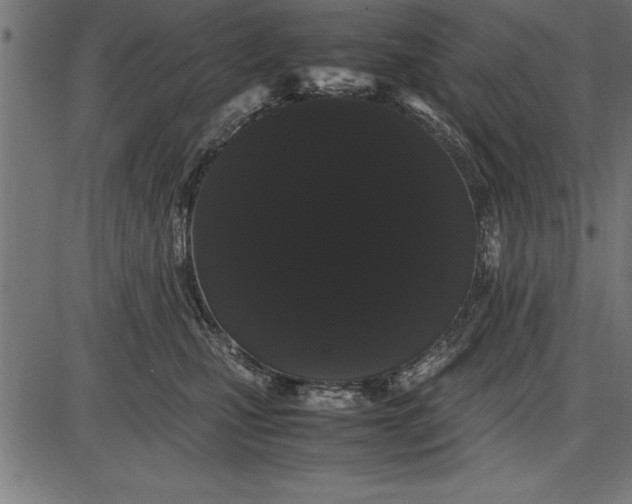 X0000086090471200704091331