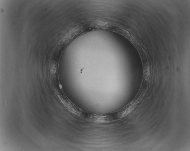 X0000086090472200704091331