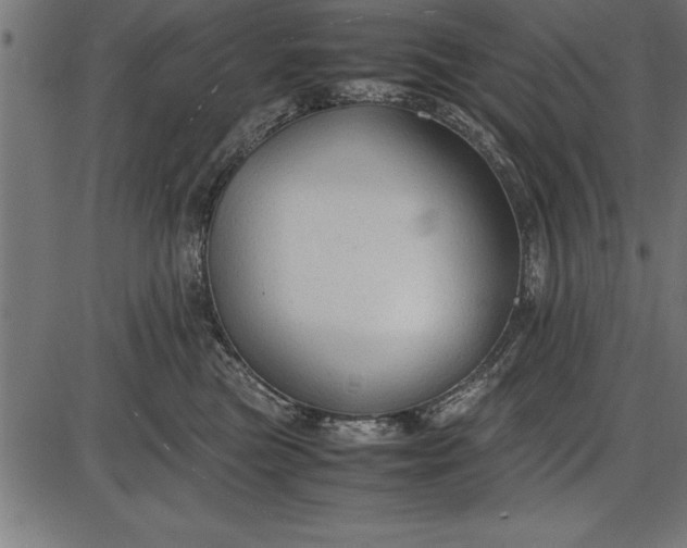 X0000086090473200704091331