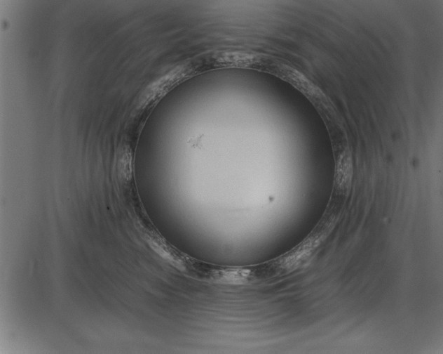 X0000086090474200704091331