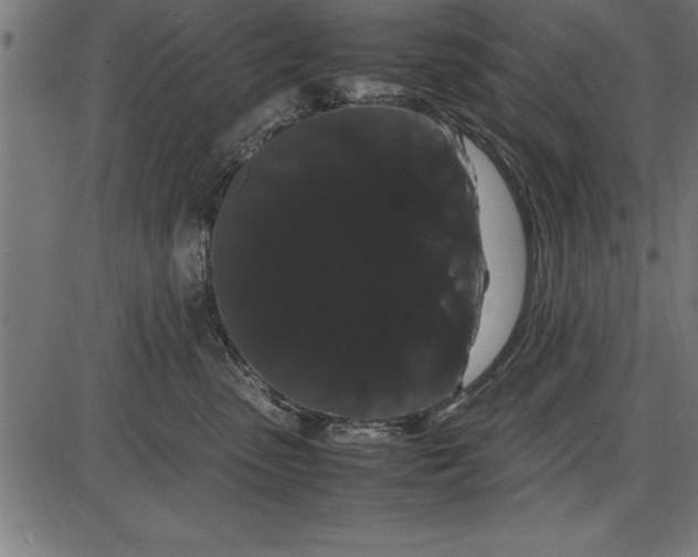 X0000086090475200704091331