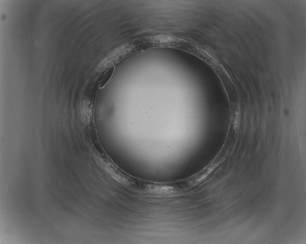 X0000086090476200704091331