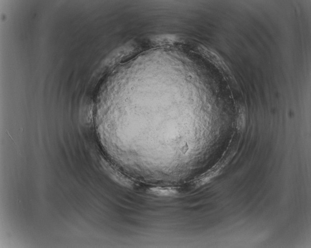 X0000086090477200704091331