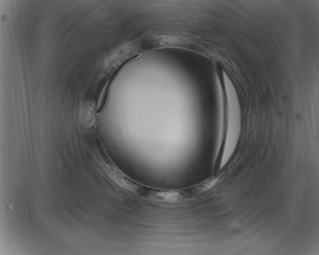 X0000086090478200704091331