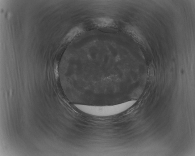 X0000086090479200704091331