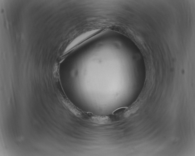 X0000086090480200704091331