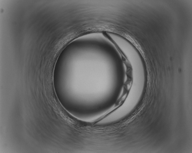 X0000086090481200704091330