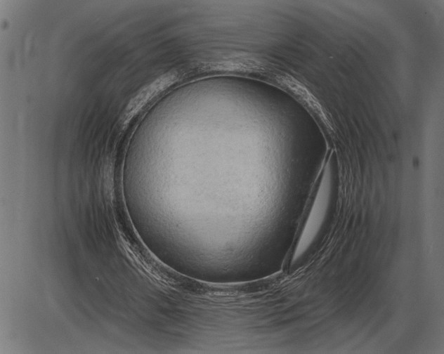 X0000086090482200704091330