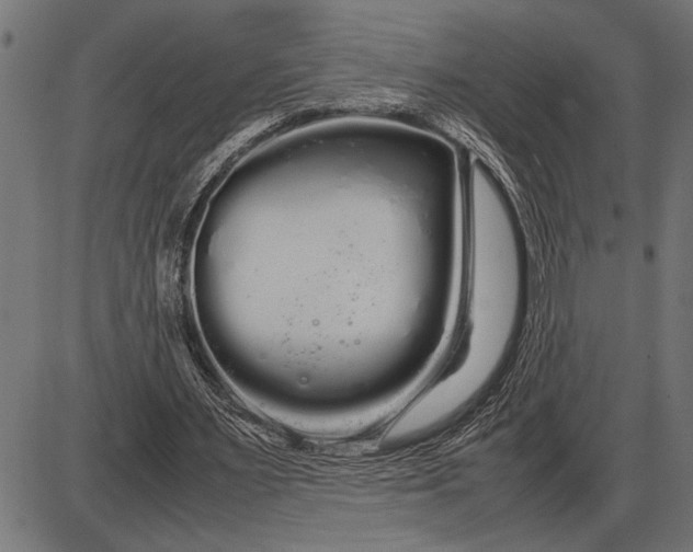 X0000086090483200704091330