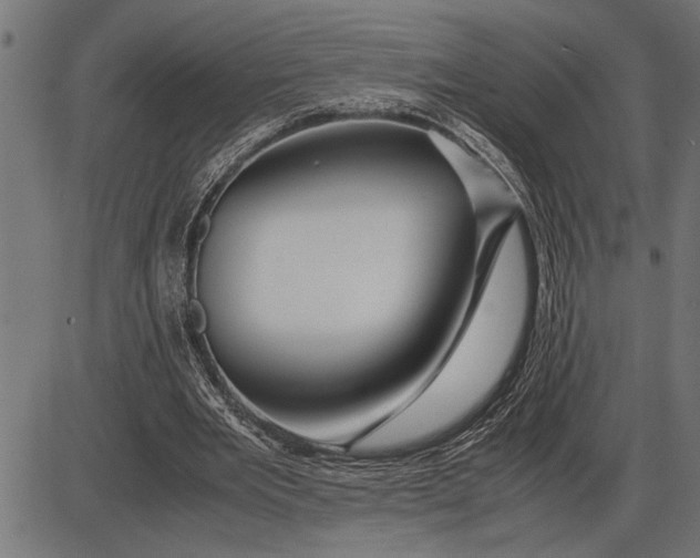 X0000086090485200704091330