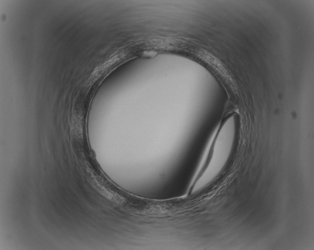 X0000086090489200704091330