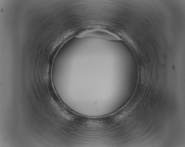 X0000086090490200704091330