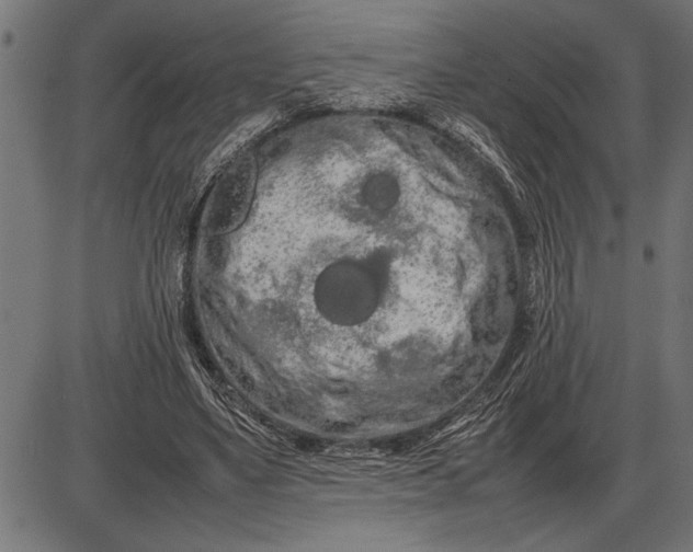 X0000086090491200704091330