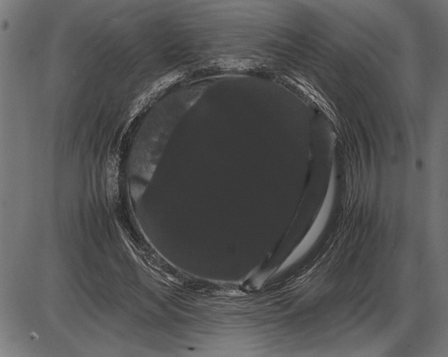 X0000086090492200704091330