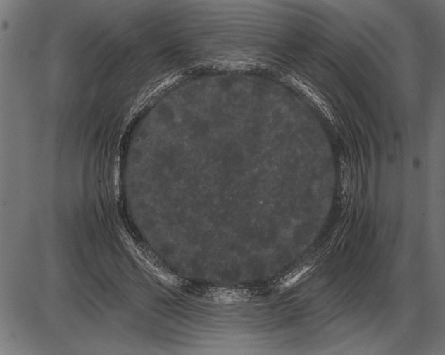 X0000086090494200704091330