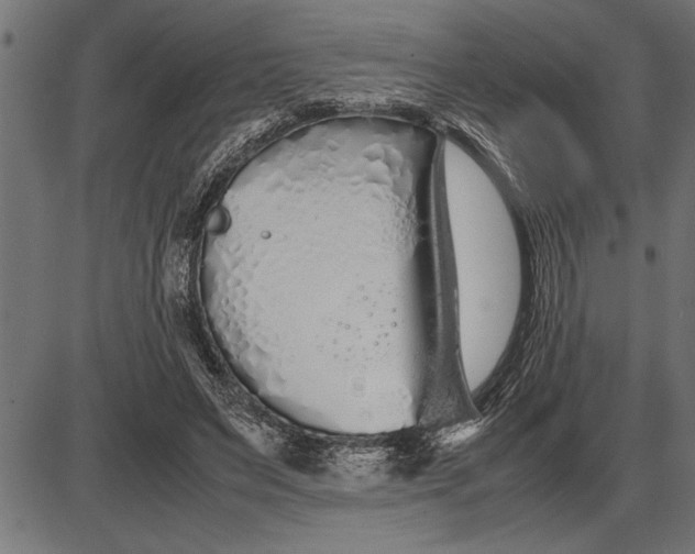 X0000086090495200704091330