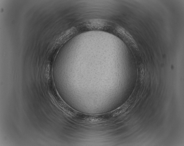 X0000086090498200704091330