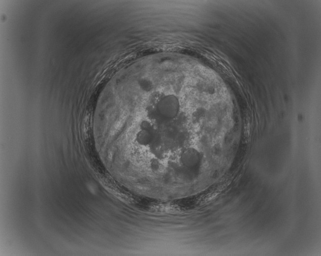 X0000086090503200704091330