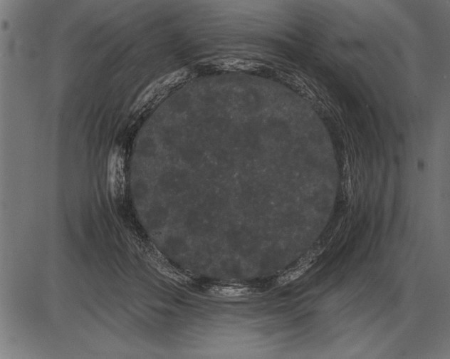 X0000086090506200704091330