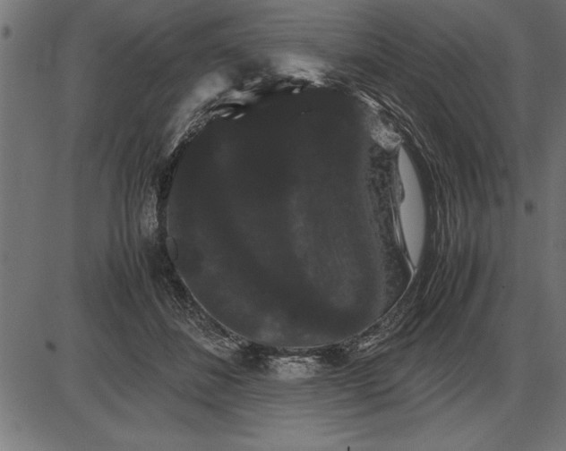 X0000086090508200704091330