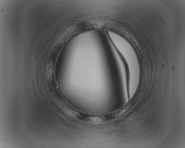 X0000086090509200704091330