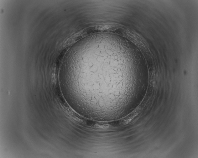 X0000086090510200704091330