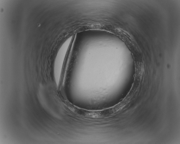 X0000086090511200704091330