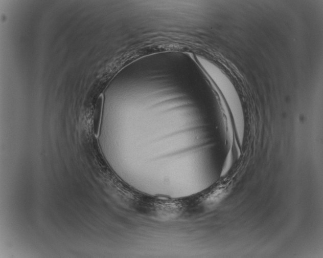 X0000086090513200704091330