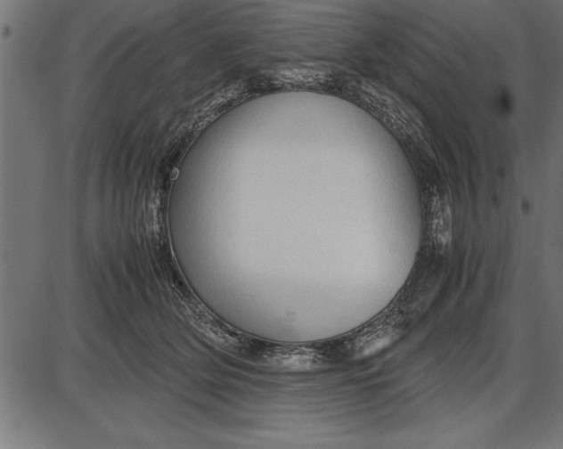 X0000086090514200704091330