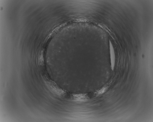 X0000086090516200704091330