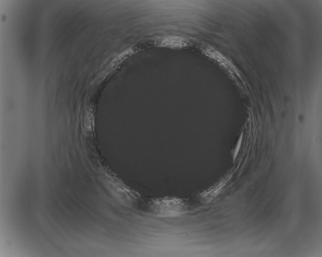 X0000086090517200704091330