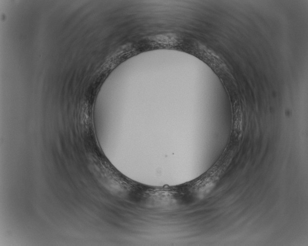 X0000086090518200704091330