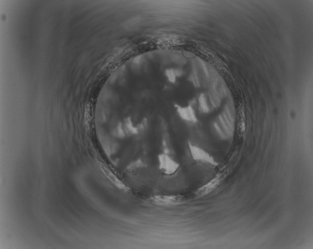 X0000086090519200704091330