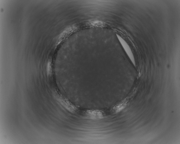 X0000086090520200704091330