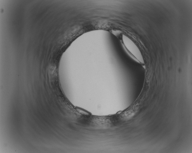 X0000086090521200704091330