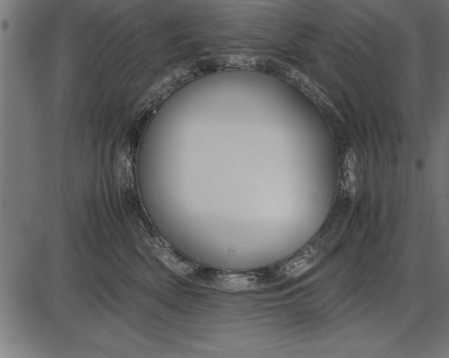 X0000086090522200704091330