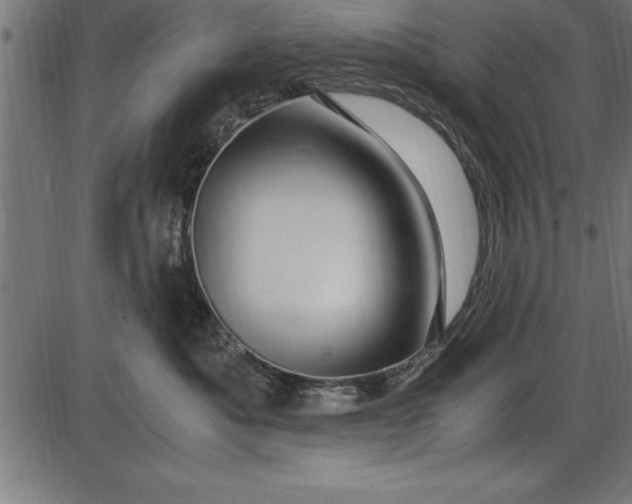 X0000086090525200704091330