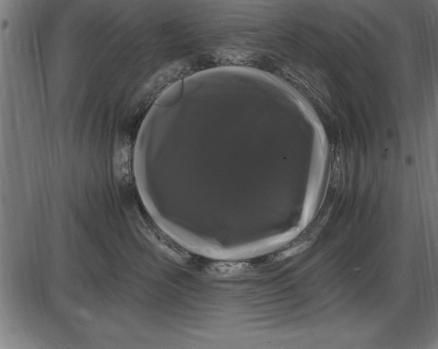 X0000086090526200704091330