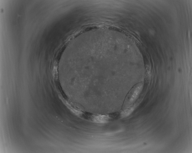 X0000086090527200704091330