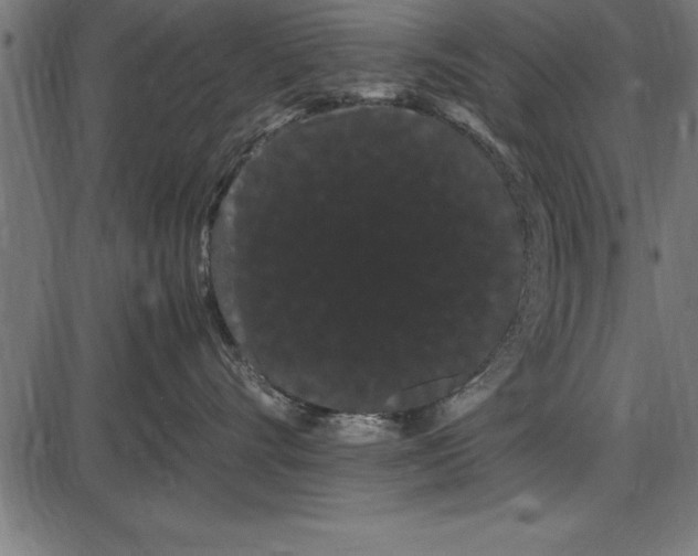 X0000086090528200704091330